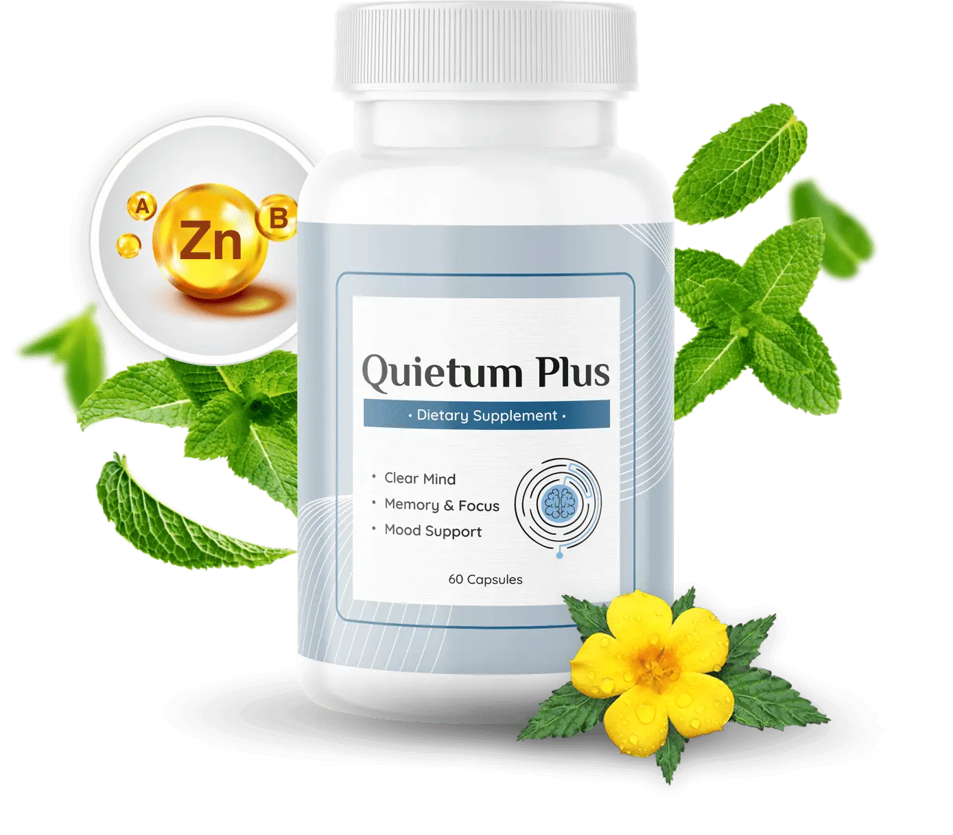 Quietum Plus Homepage